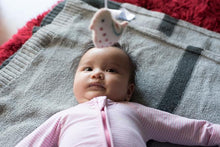 Load image into Gallery viewer, Pink and cream robin bird felt garland-garland-Rainbows and Clover-Rainbows and Clover